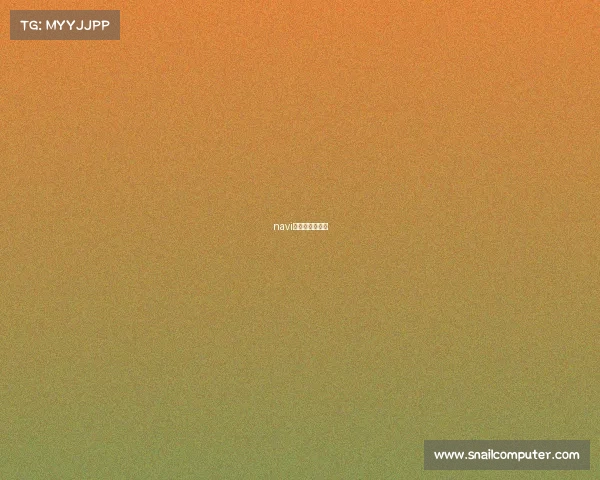 navi电子竞技俱乐部 navi电子竞技俱乐部