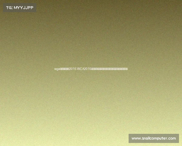 wga电子竞技比赛2015 WCA2015全球总决赛鏖战银川，十载回望依旧堪称经典电竞盛会