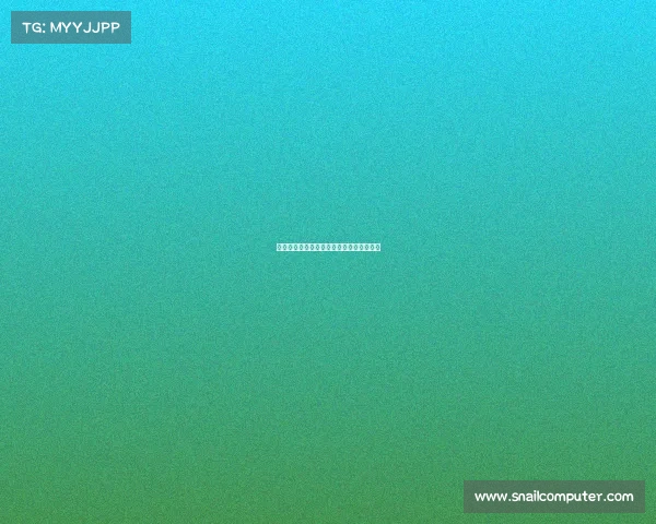 中国战队问鼎世界之巅，电竞荣耀再谱新篇