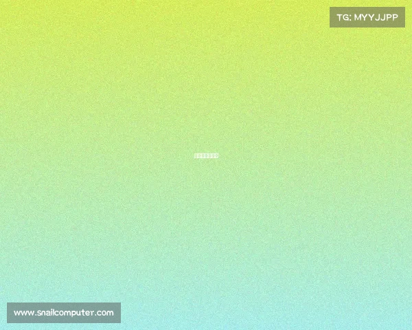 偶像竞技类节目