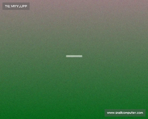 国内电竞圈最新动态深度观察