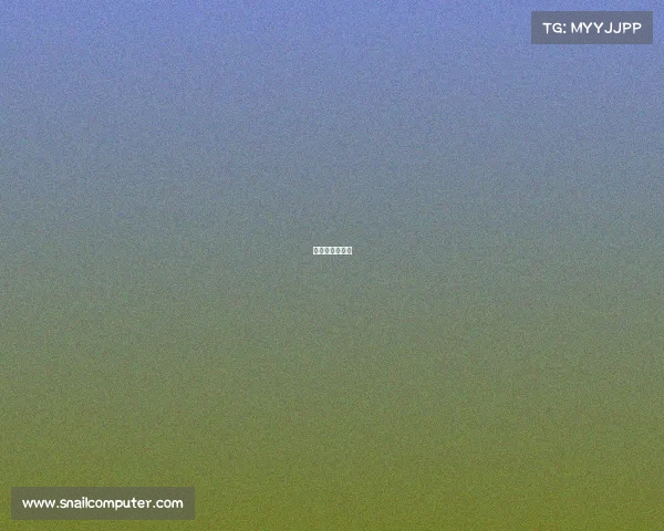 天命杯决赛赛制