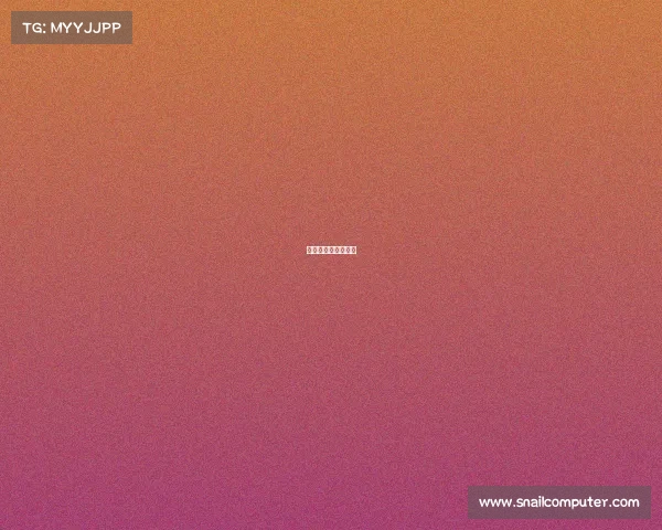 性价比高的电竞显卡