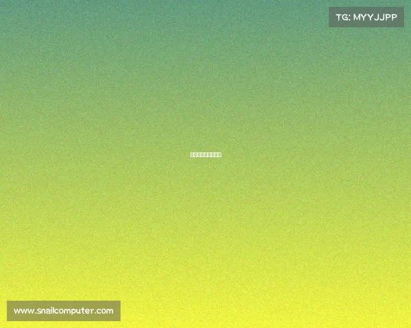 女子搏击被踢档视频